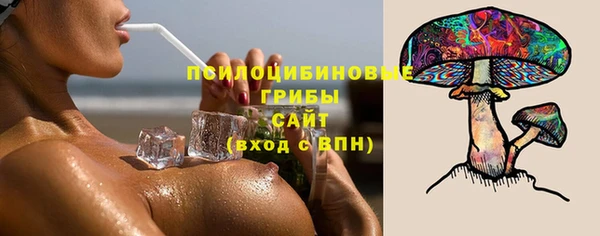 соль ск Алексеевка