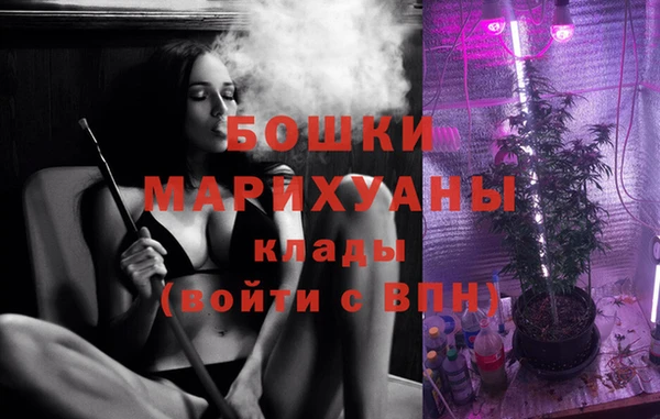 скорость Новозыбков